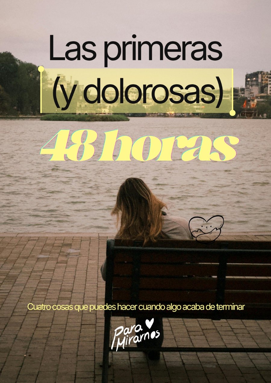 Portada de la guía Las primeras (y dolorosas) 48 horas
